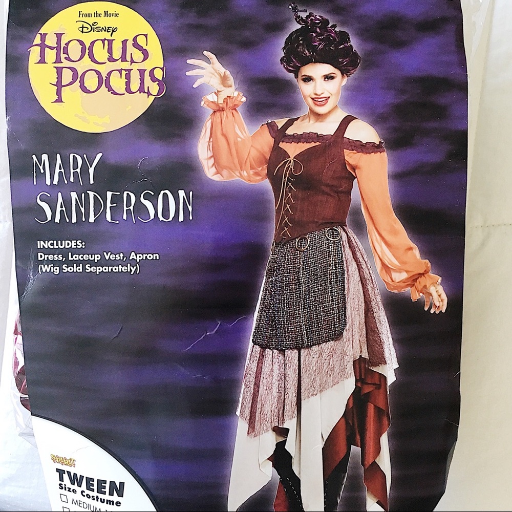 Mary Sanderson Halloween Costume